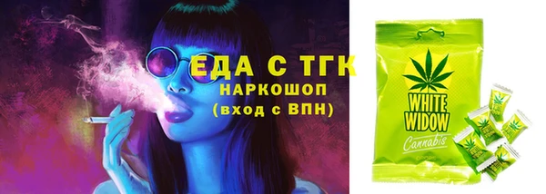 гидра Арсеньев