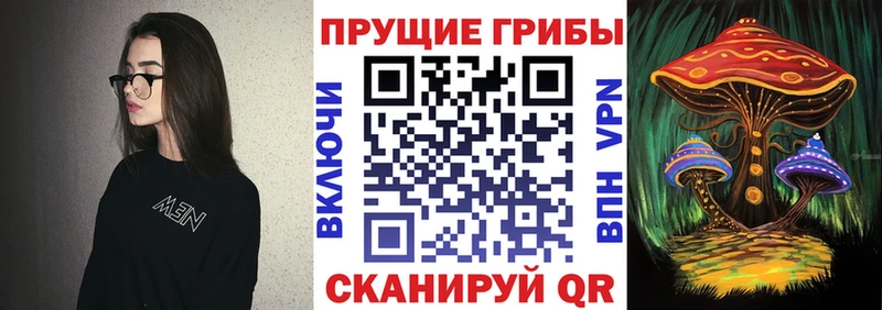 Купить  Наро-Фоминск  Псилоцибиновые грибы Psilocybe 